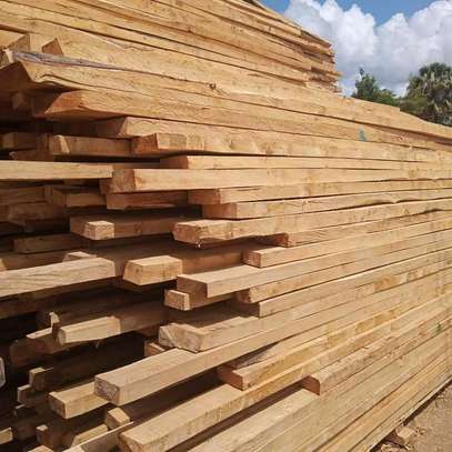 All  types of timber image 3