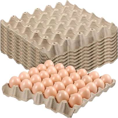 100pcs manilla egg tray/carton egg tray image 3