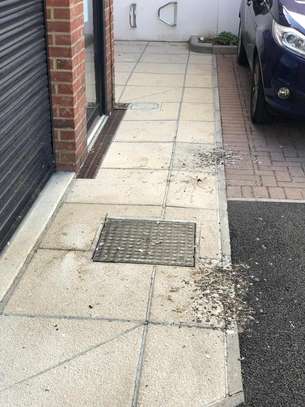 Cheap Pest Extermination Ngong/Kikuyu/Thika/Kabete/Ruai image 4