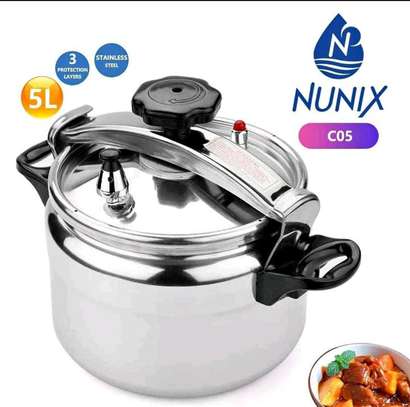 Nunix Pressure cooker 5Litres image 1
