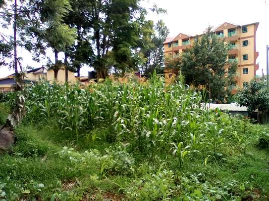 1/4-Acre Plot For Sale in Wangige image 8