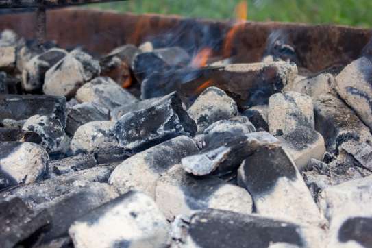 Charcoal Briquettes image 1