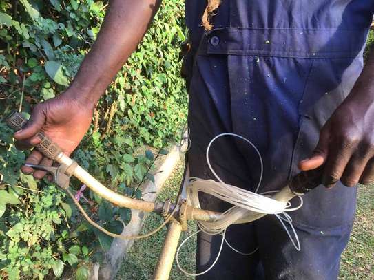 Bed bug pest control Mountain View,Kabete,Ndumbuini,Kinoo image 13