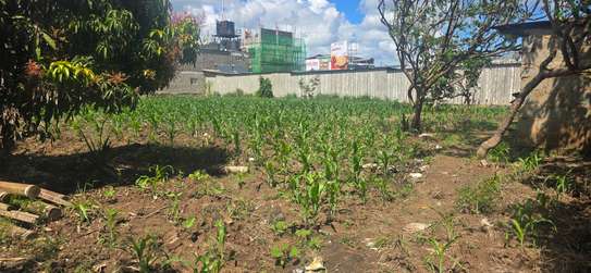 PRIME HALF ACRE LAND FOR SALE IN RUIRU KAMAKIS image 1