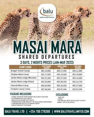 Masai Mara Group Joining Daily Packages image 6