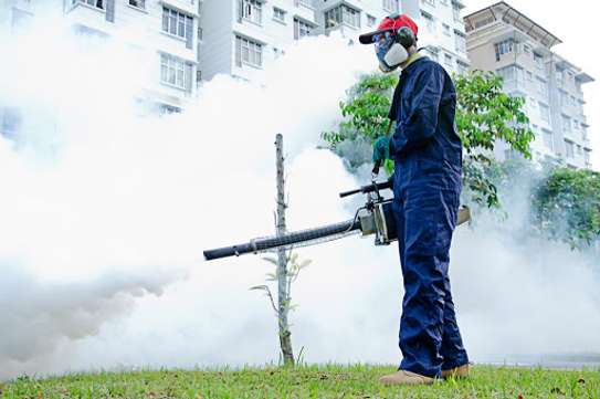 24 Hour  Fast Fumigation & Pest control - Bed Bugs & Cockroaches control | Best Office & Domestic Cleaning Nairobi.100% Service Guarantee.Get A Free Quote Now image 4