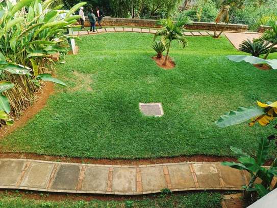 4 Bed House with En Suite in Spring Valley image 14