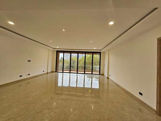 4 Bed Apartment with En Suite in Spring Valley image 9