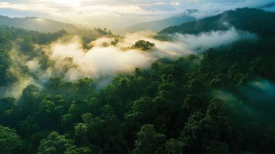 Furnished 1 Bed Apartment with En Suite at Westlands image 6