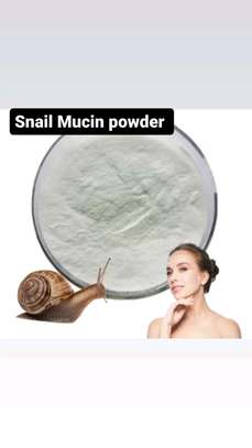 Snail Mucin powder image 4