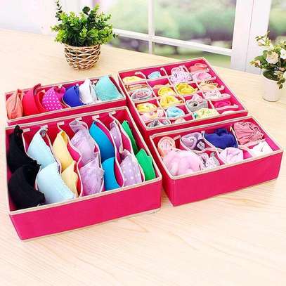 4in1 under garments organizer image 3