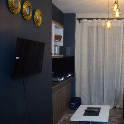 Studio Fully Furnished, Wifi, 24 Hour Security image 6
