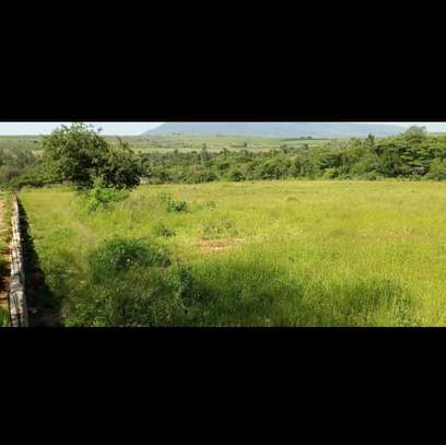 1 Acre land for sale image 4