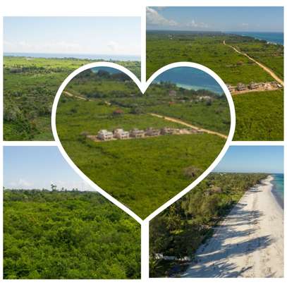 0.25 ac Residential Land at Diani Beach Road image 1