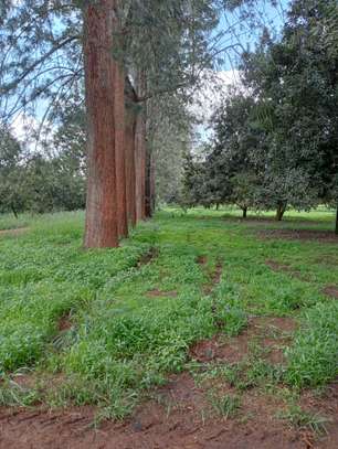 0.5 ac Land at Thika Grove Chania-Opposite Blue Post Hotel image 5