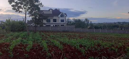 Residential Land at Adjacent To Muhasibu Estate image 14