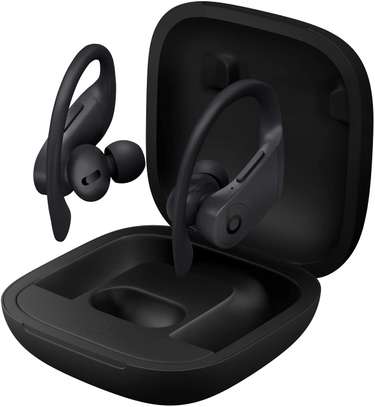 Powerbeats Pro Wireless Earbuds - Apple H1 Headphone Chip, Class 1 Bluetooth Headphones, 9 Hours of Listening Time, Sweat Resistant, Built-in Microphone image 2