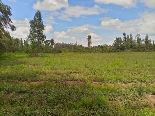 Nanyuki, past British Army Barracks image 5