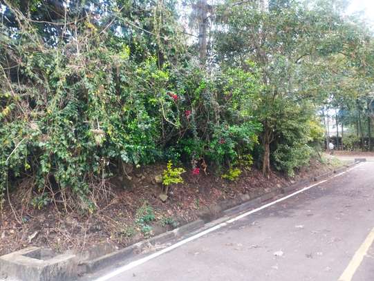 Two units, three bedrooms and two bedrooms bungalows. image 3