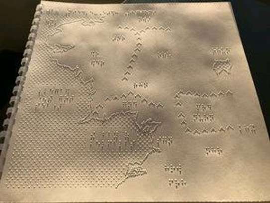 BRAILLE AND TACTILE PRINTING image 10