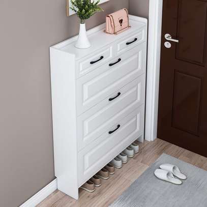 Modern Shoe Storage Cabinet image 4