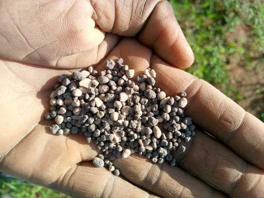 Homed Lime Co. Agricultural Lime Fine Powder Kenya image 4