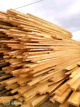 Wood timber image 5