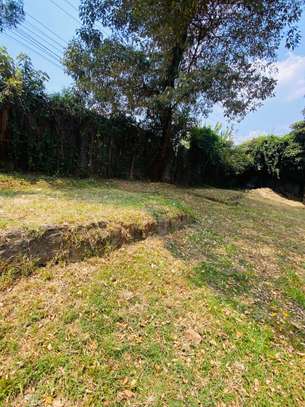 1 ac Land at Banana Raini Road image 6