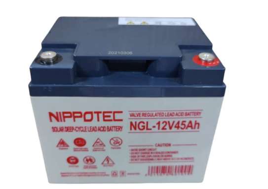 Nippotec Solar Deep Cycle Lead Battery, 12V/45AH image 1