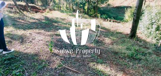 50 by 100 plot for sale in Muthure image 3