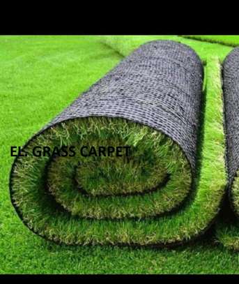 Backyards artificial grass carpet image 1