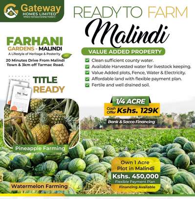 Farming land in Malindi image 2