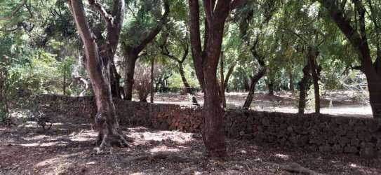 1 Acre Piece Of Land In Casuarina Road Malindi For Sale image 2