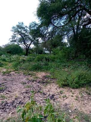 720 acres of virgin along the river kibwezi Makueni County image 1