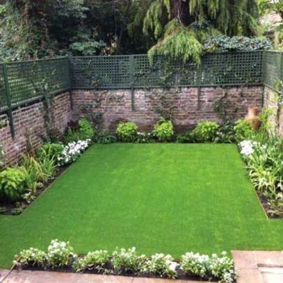 Artificial grass carpet cleaner image 4