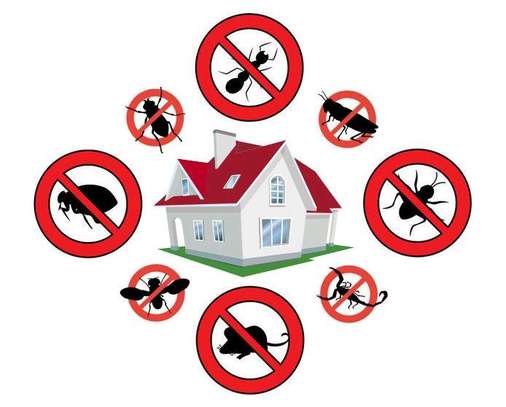 Pest control solution image 2