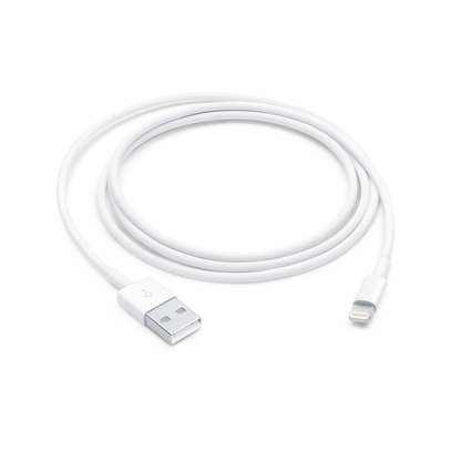Lightning to USB Cable (1 m) image 3