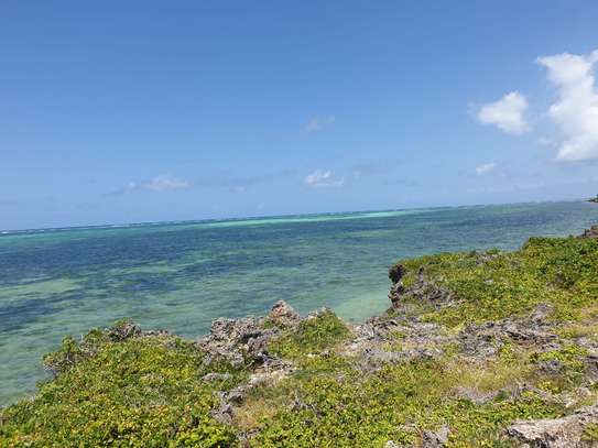 Land in Watamu image 25