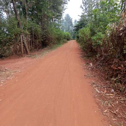 50x100ft plots for sale at Makuyu in Murang'a county image 4