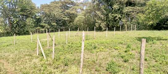 Prime Land in Kahara/Matasia image 1