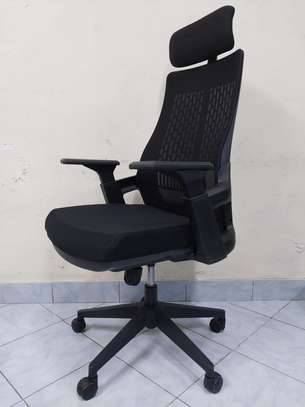 Lama orthopedi executive office chair image 6