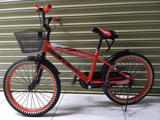 premier smart size 20 bicycle. image 1