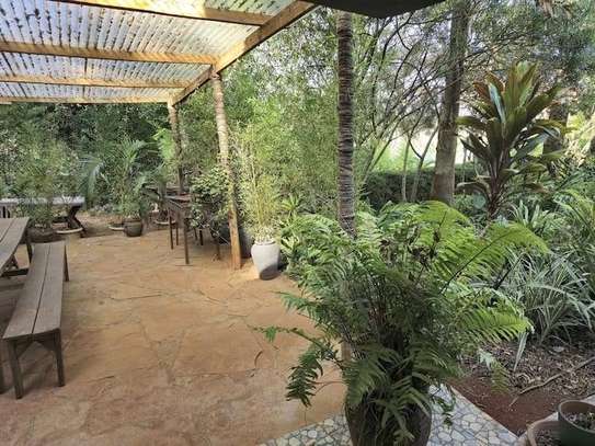 1 Bed House with En Suite at Peponi Rd image 11