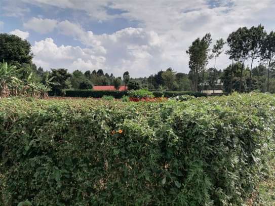 2,000 m² Residential Land in Gikambura image 11