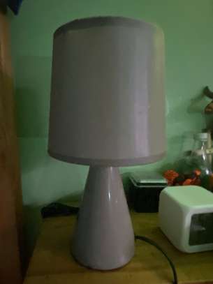 2 Lamps, 1 Price image 2