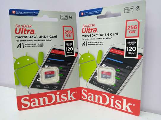 SanDisk Ultra MicroSDXC UHS-I 120MB/s 256GB C10 Memory Card image 1