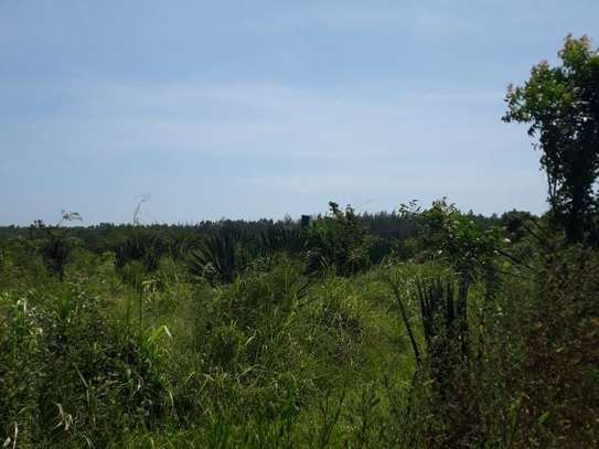 1,012 m² Residential Land in Vipingo image 3