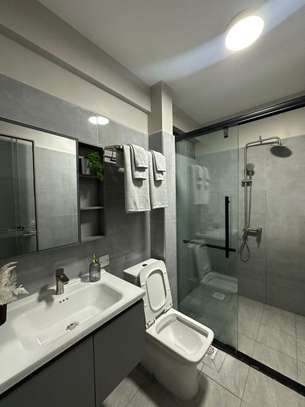 1 Bed Apartment with En Suite in Westlands Area image 9