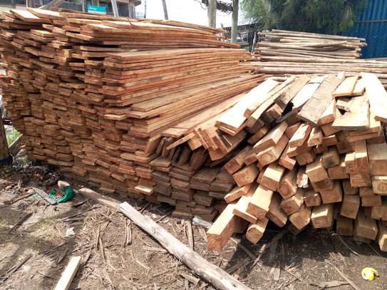 Cypress Roofing Timber In Nairobi Pigiame