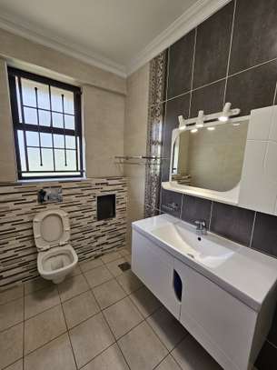 4 Bed Apartment with En Suite at Spring Valley image 24